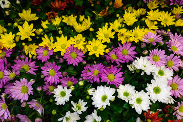 Similar image 21120957