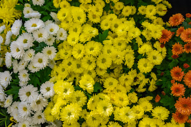 Similar image 21120959