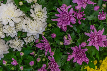 Similar image 21120960