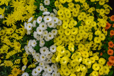 Similar image 21120961