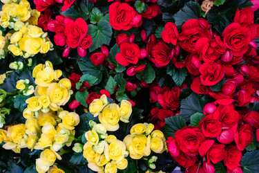 Similar image 21120962