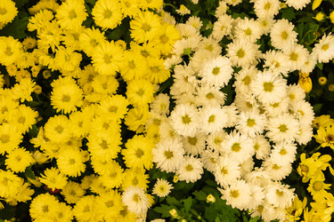 Similar image 21120964