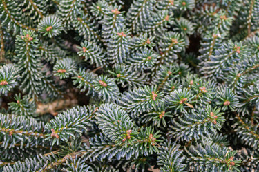 Similar image 21120965