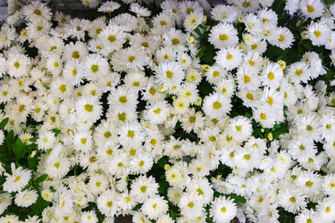 Similar image 21120966