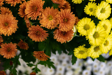 Similar image 21120967