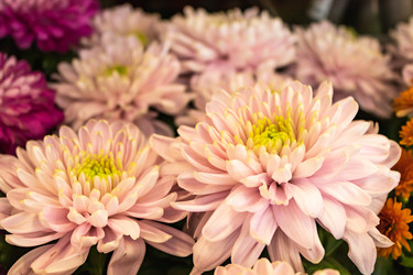 Similar image 21120968