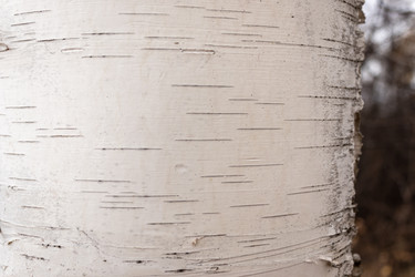 Similar image 21120975