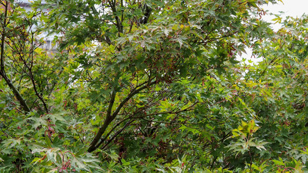 Similar image 21105071