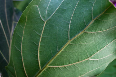 Similar image 21112566