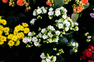 Similar image 21112567