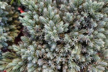 Similar image 21112575