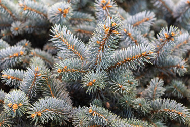 Similar image 21112576