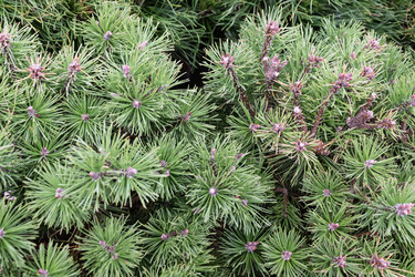 Similar image 21112577