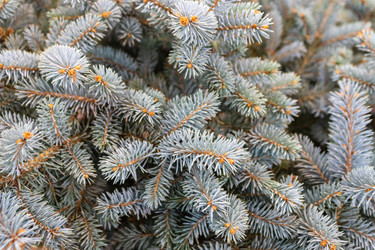 Similar image 21112581