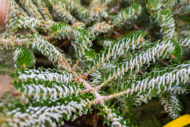 Similar image 21112582