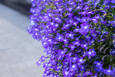 Similar image 21112592