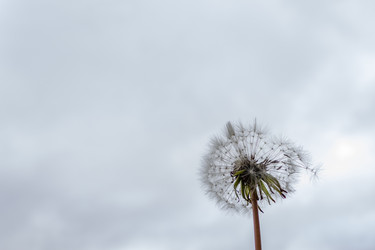 Similar image 21112602