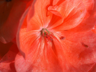 Similar image 21103380