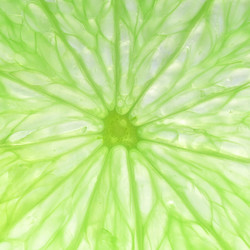 Similar image 21103390