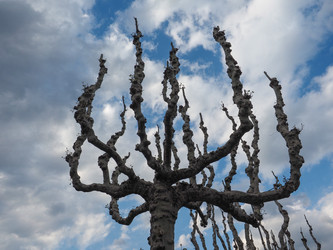 Similar image 21105092