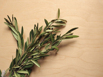 Similar image 21105098