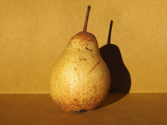 Similar image 21105106