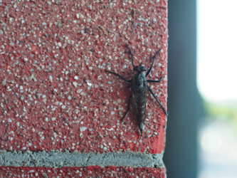 Similar image 21100968