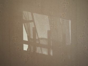 Similar image 21100970