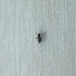 Similar image 21100979