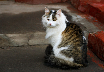 Similar image 21083026