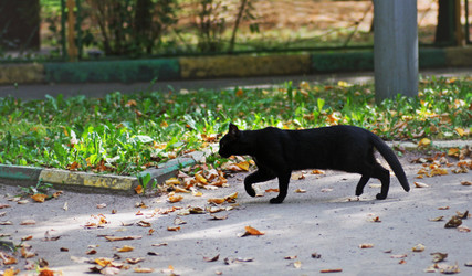 Similar image 21083106