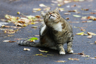 Similar image 21083108