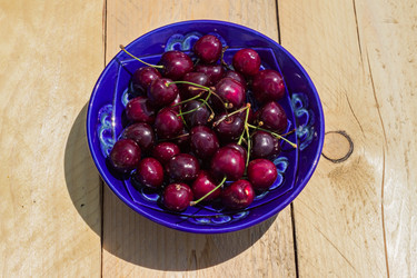 Similar image 21098478