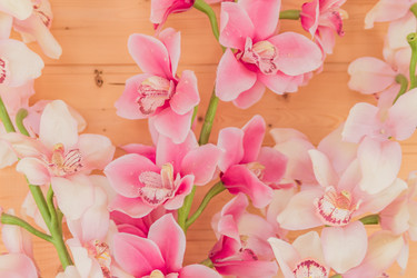 Similar image 21098479