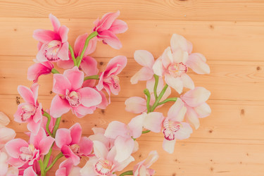 Similar image 21098482