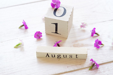 Similar image 21098575