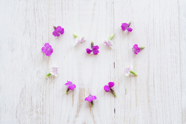 Similar image 21098580