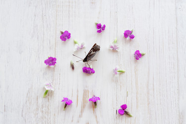 Similar image 21098581