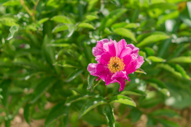 Similar image 21098586