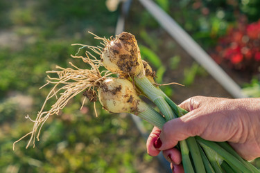 Similar image 21098587