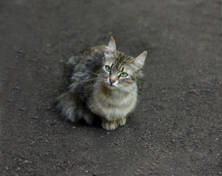 Similar image 21091560