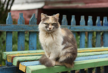 Similar image 21091561