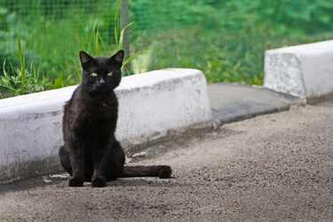 Similar image 21091563