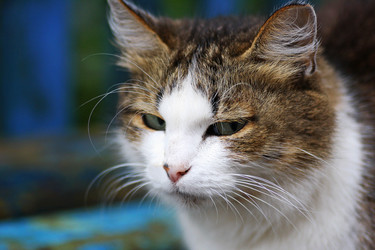 Similar image 21091565