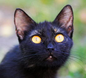 Similar image 21091572