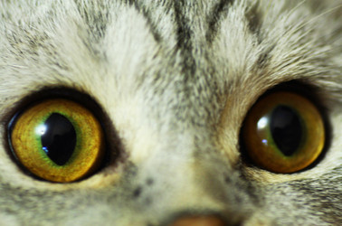 Similar image 21091573