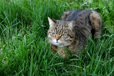 Similar image 21091577