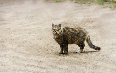 Similar image 21091582