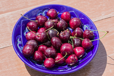 Similar image 21093298