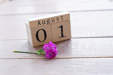 Similar image 21098025